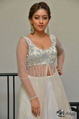Anu Emmanuel at Kittu Unnaadu Jagratha Movie Gummadikaya Function